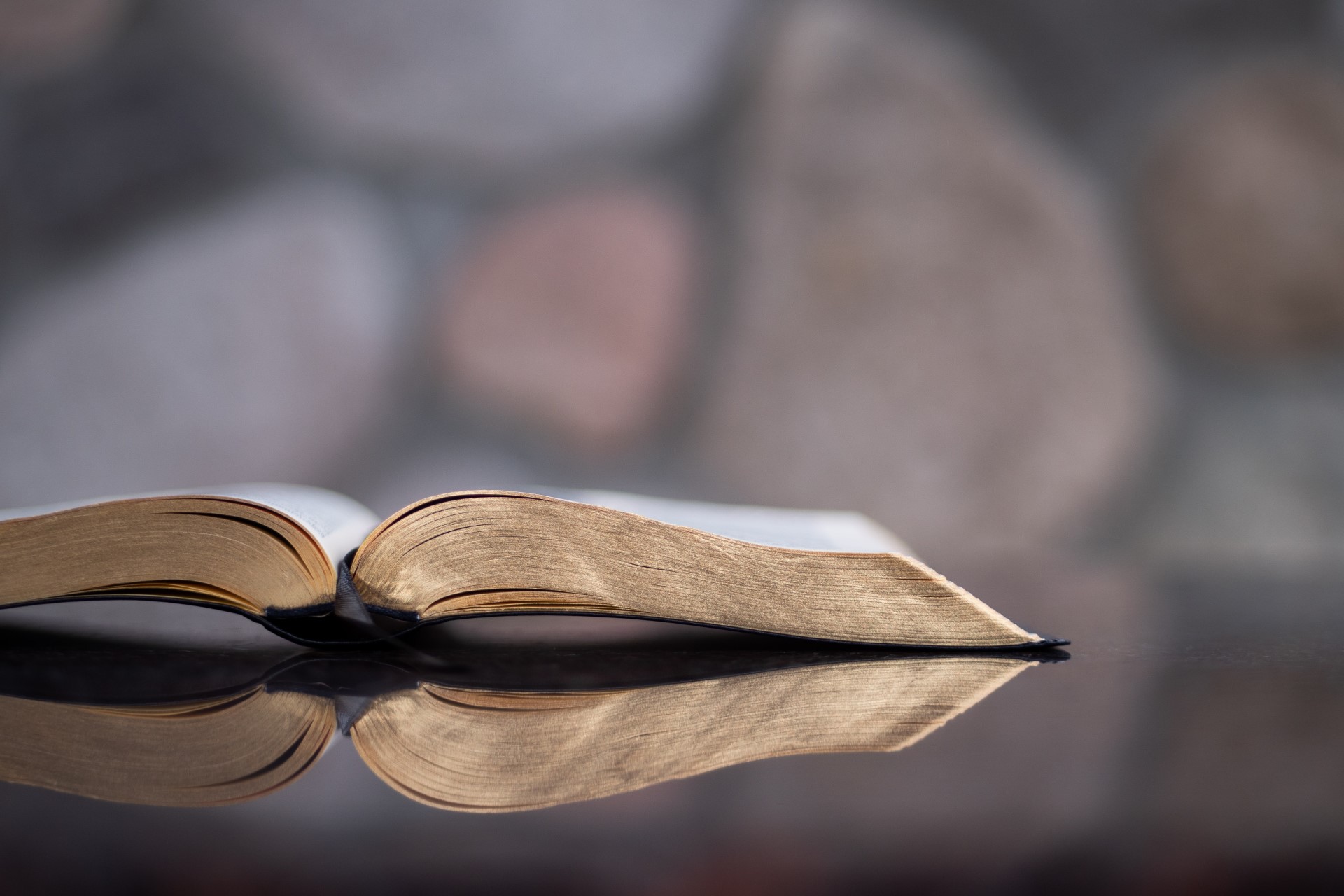 The Vision of God's Kingdom through the Book of Acts course image